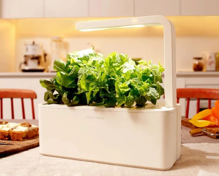 ¿Quieres un huerto y vives en un piso? SmartHerb lo hace posible