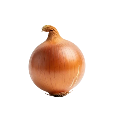 Cebolla