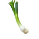 Cebolleta