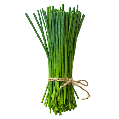 Cebollino