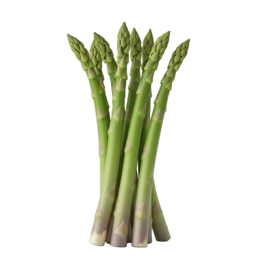 Esparrago