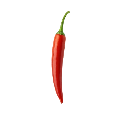 Guindilla