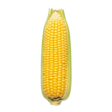 Maíz