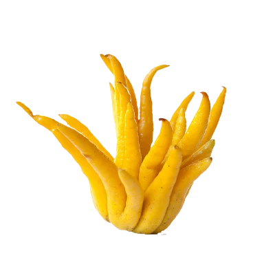 Mano de Buda