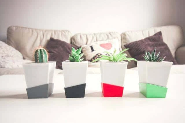 Kivi: la maceta inteligente 2017... Un proyecto de Kibu Green