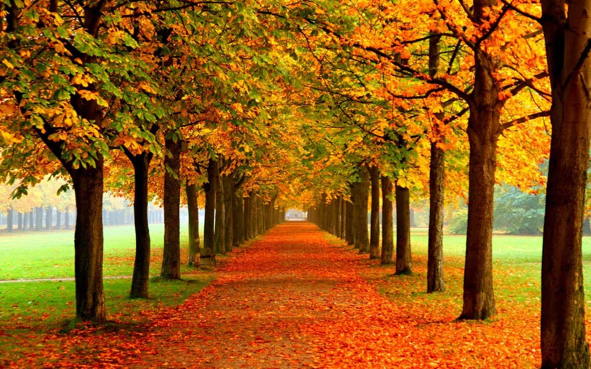 22 de septiembre: ¡Llegó el equinoccio de otoño!