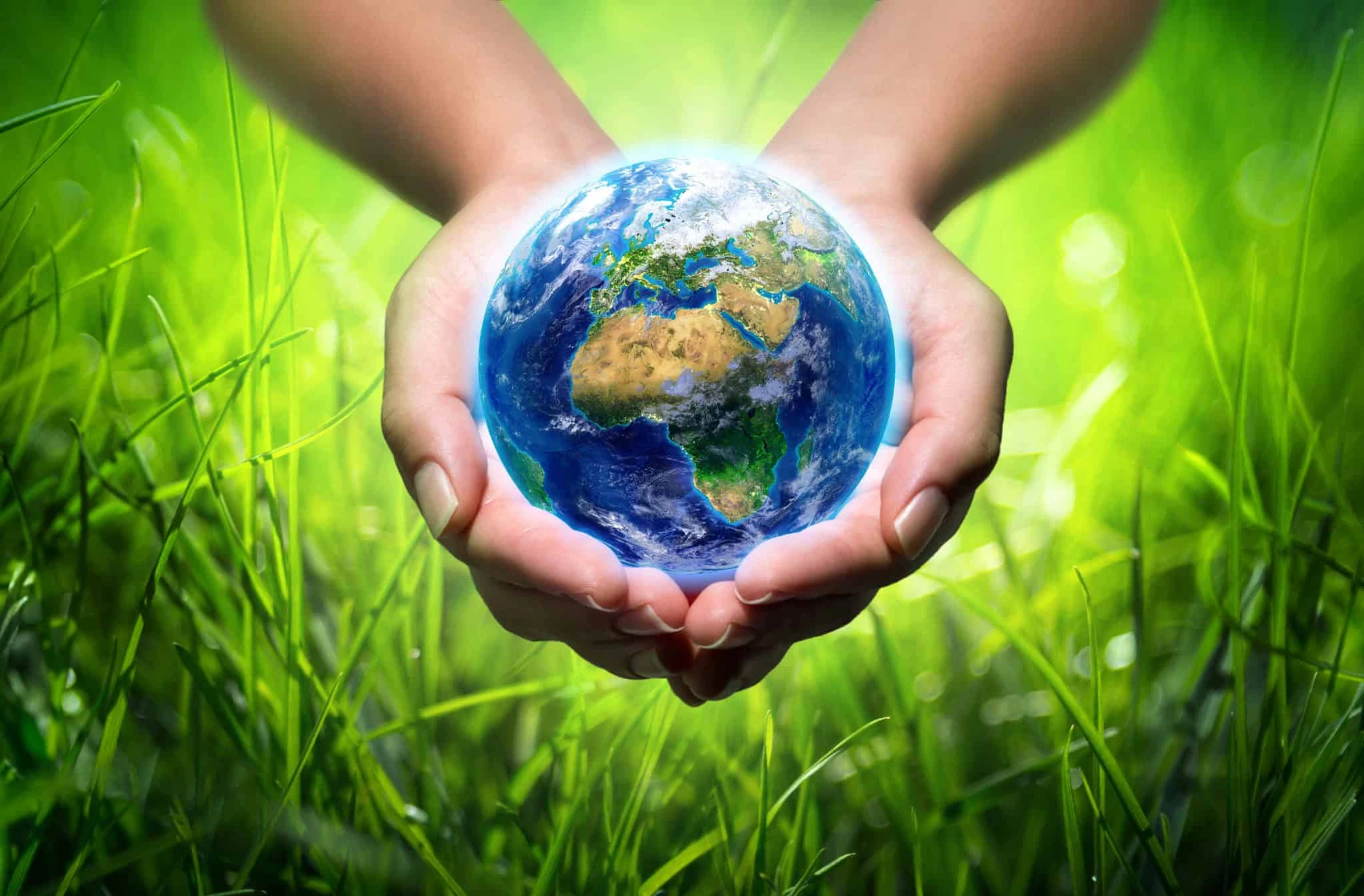 Advertencia de los científicos a la humanidad 2017