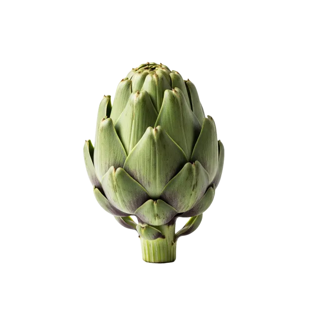 Alcachofa