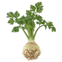 Apionabo