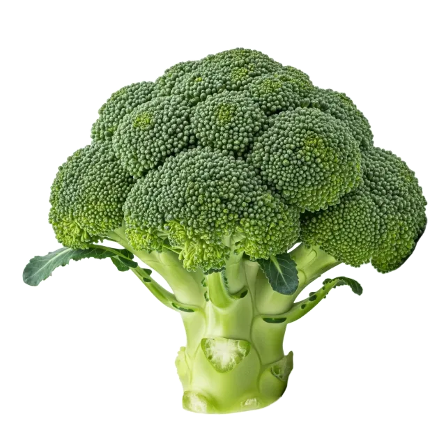 Brócoli