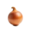Cebolla