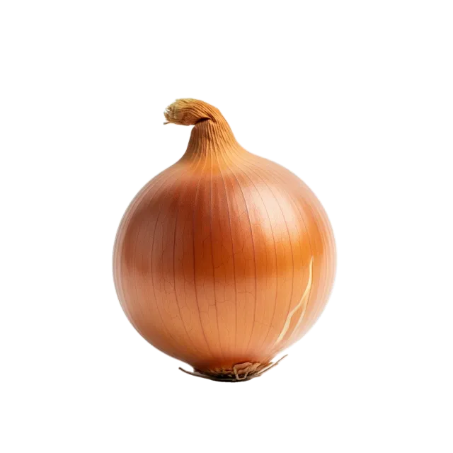Cebolla
