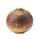 Colinabo