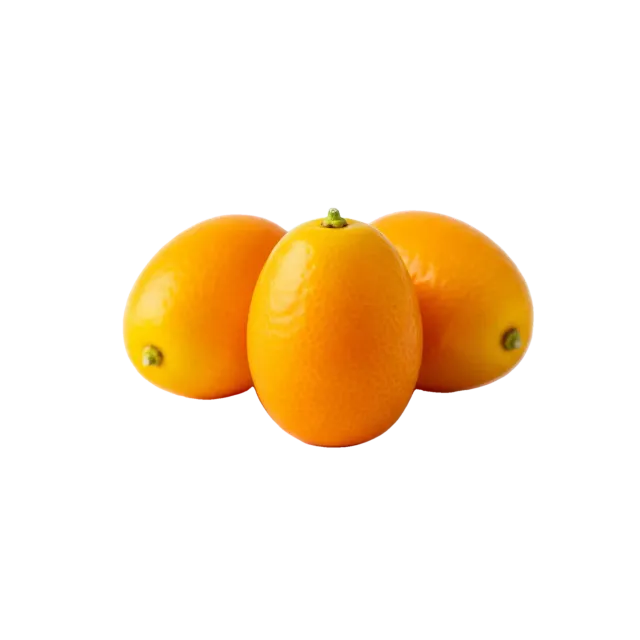 Kumquat