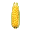 Maíz