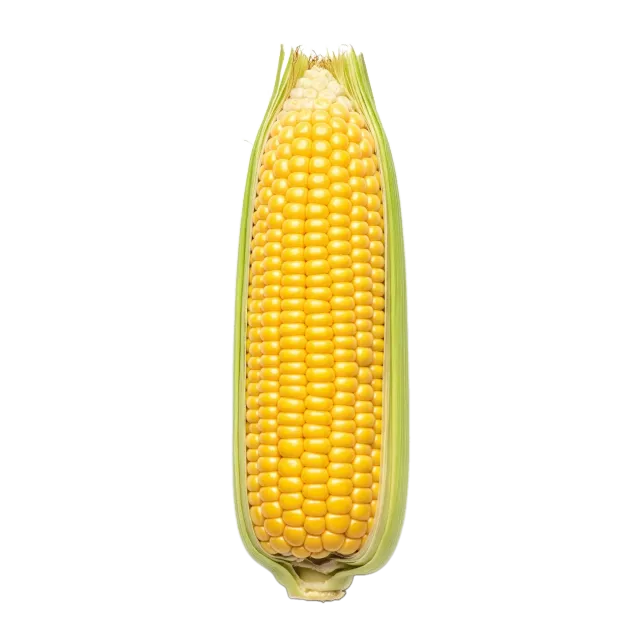 Maíz