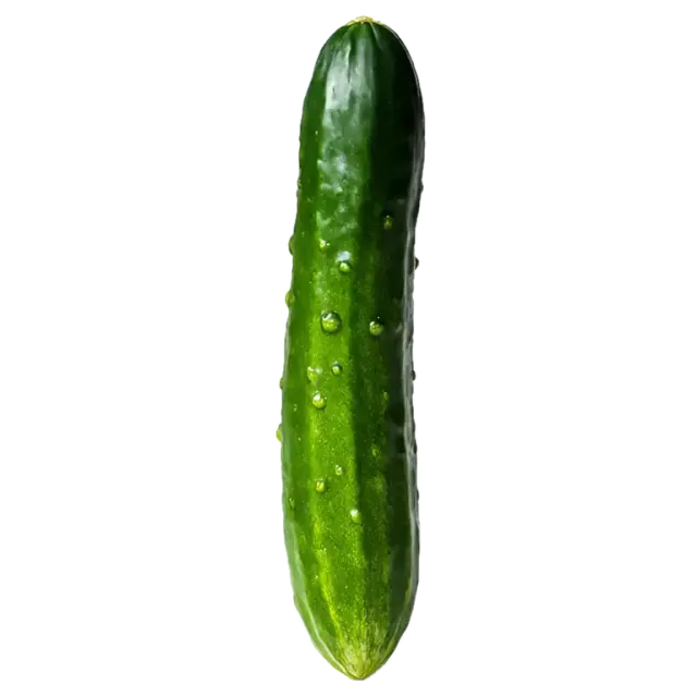 Pepino