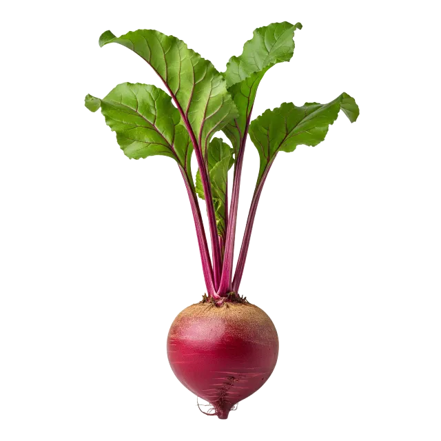 Remolacha roja