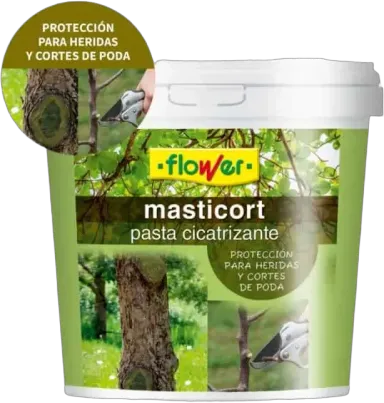Pasta cicatrizante poda Masticort — Grande