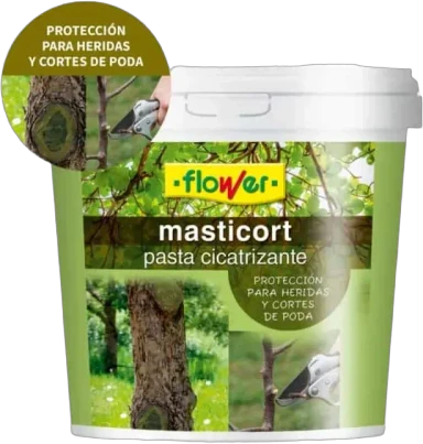 Pasta cicatrizante poda Masticort — Grande