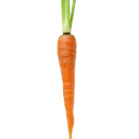Zanahoria